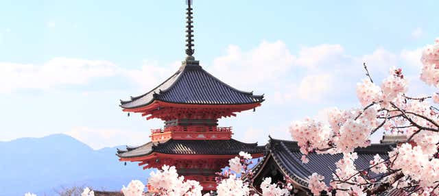 Escursione a Osaka, Nara e al Kobe