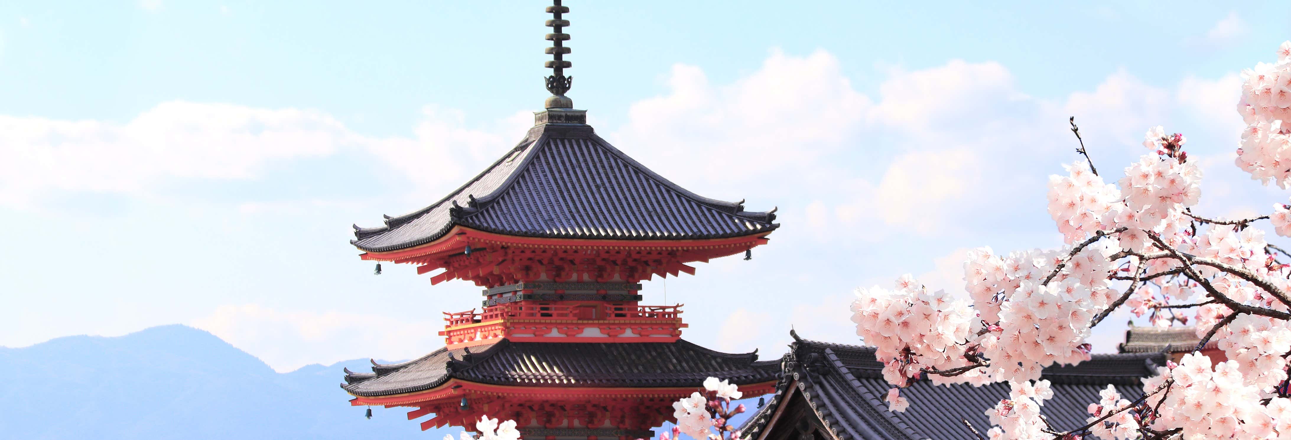 Escursione a Osaka, Nara e al Kobe