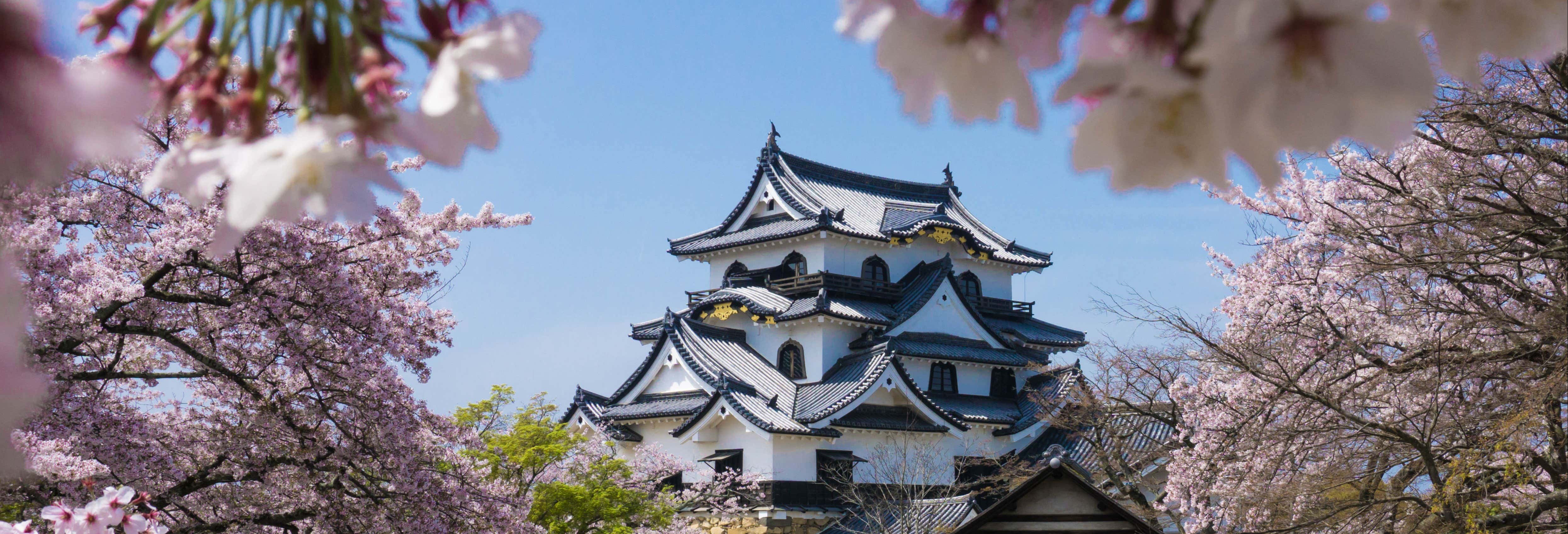 Escursione privata a Osaka