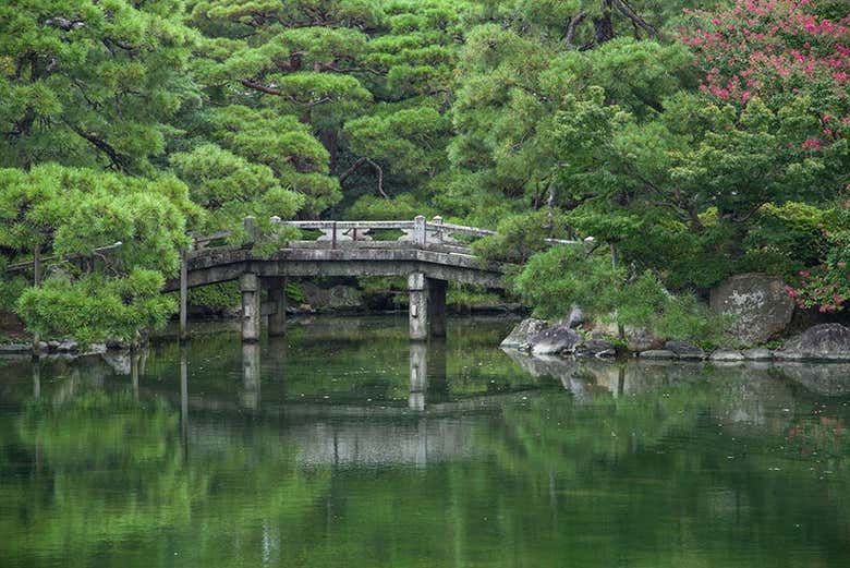 Imagen 7
