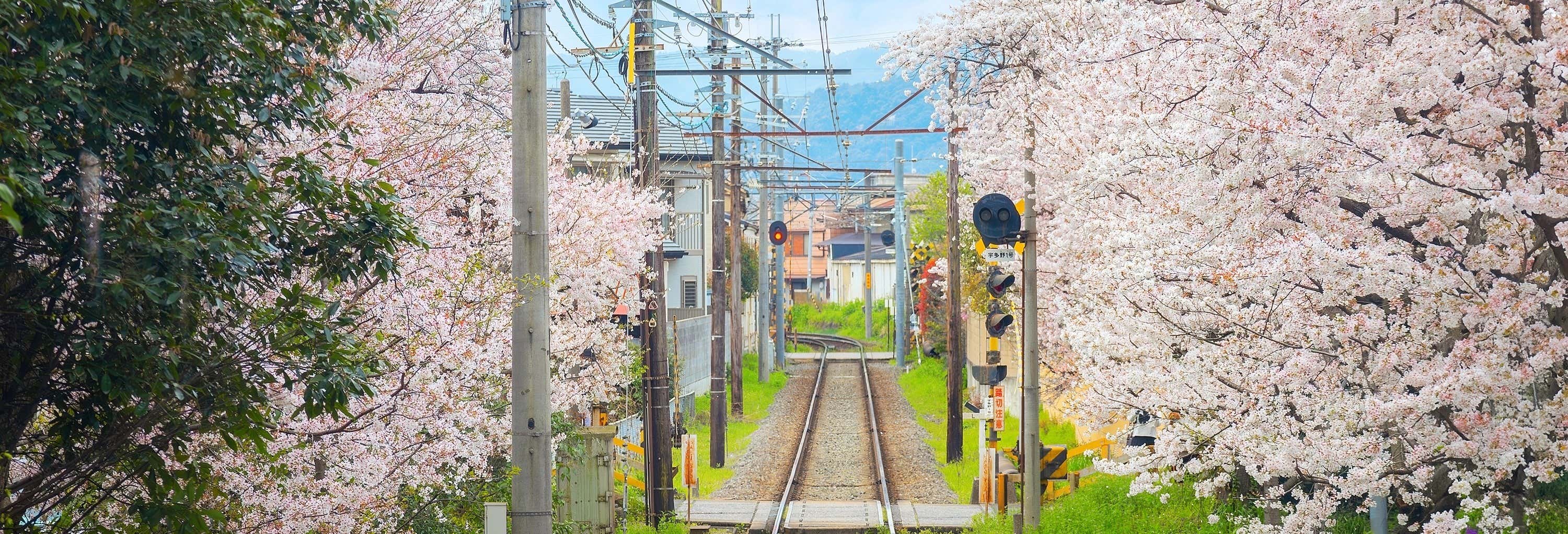 Haruka Express, treno fra l'aeroporto di Kansai e Kyoto od Osaka