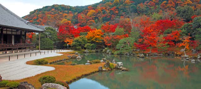 Tour completo di Kyoto con biglietti