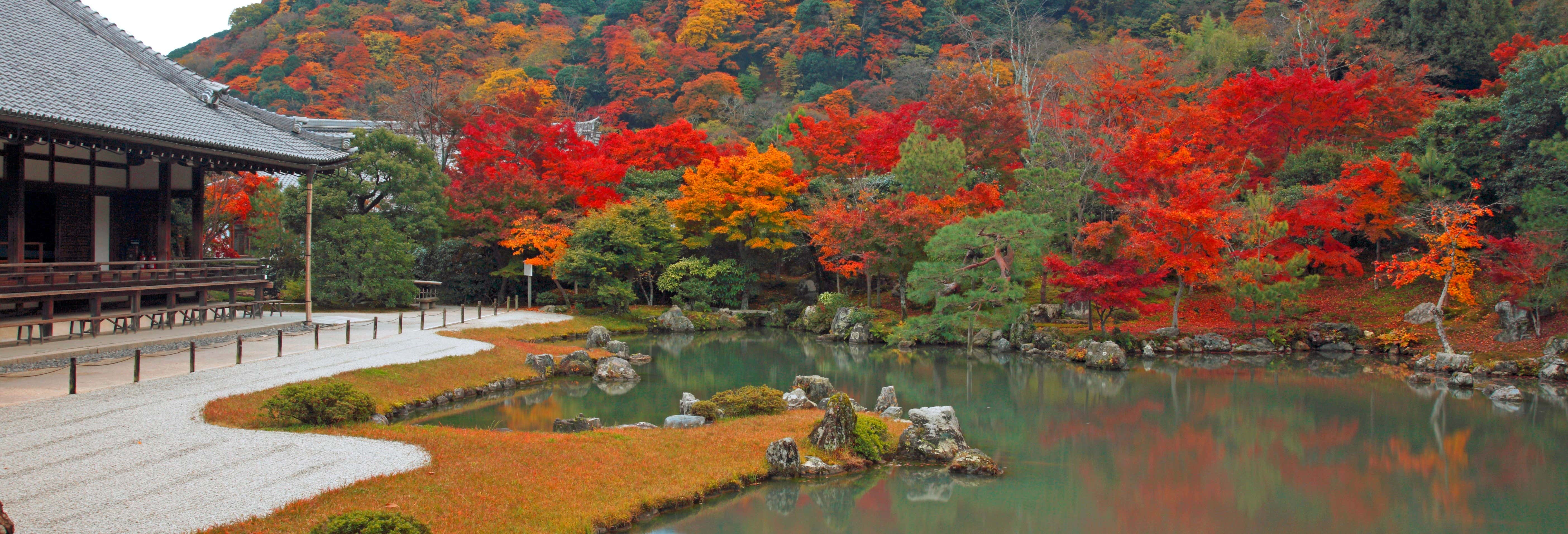 Tour completo di Kyoto con biglietti