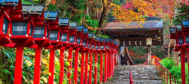 Tour privado en coche por Kioto