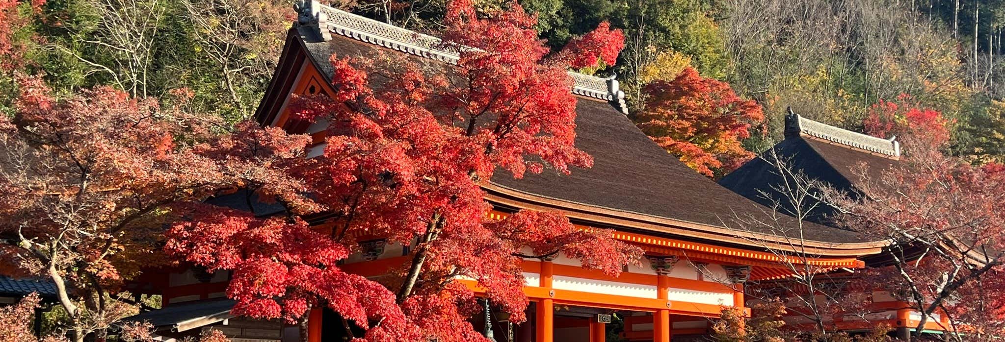 Tour privado pela Kyoto Imperial