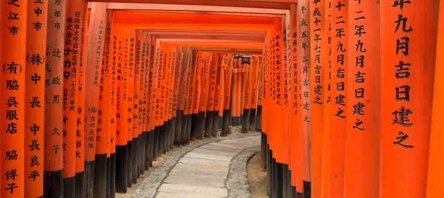 Trekking al santuario Fushimi Inari-Taisha