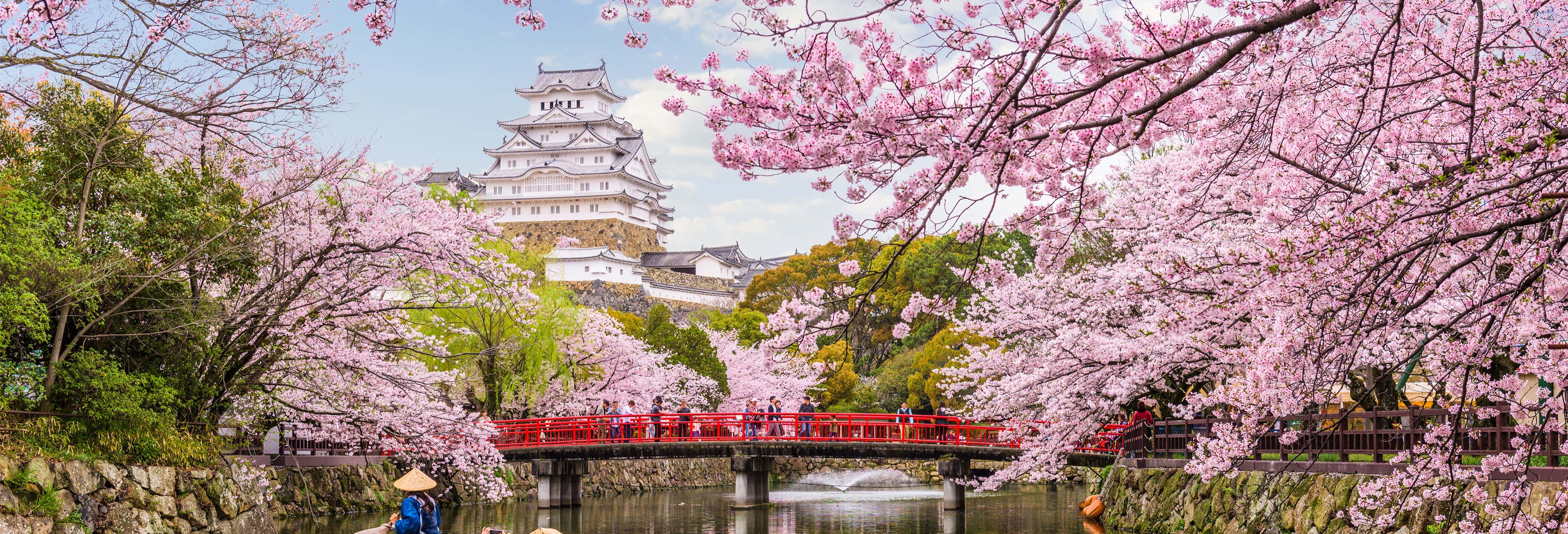 Tour privato di Kōbe