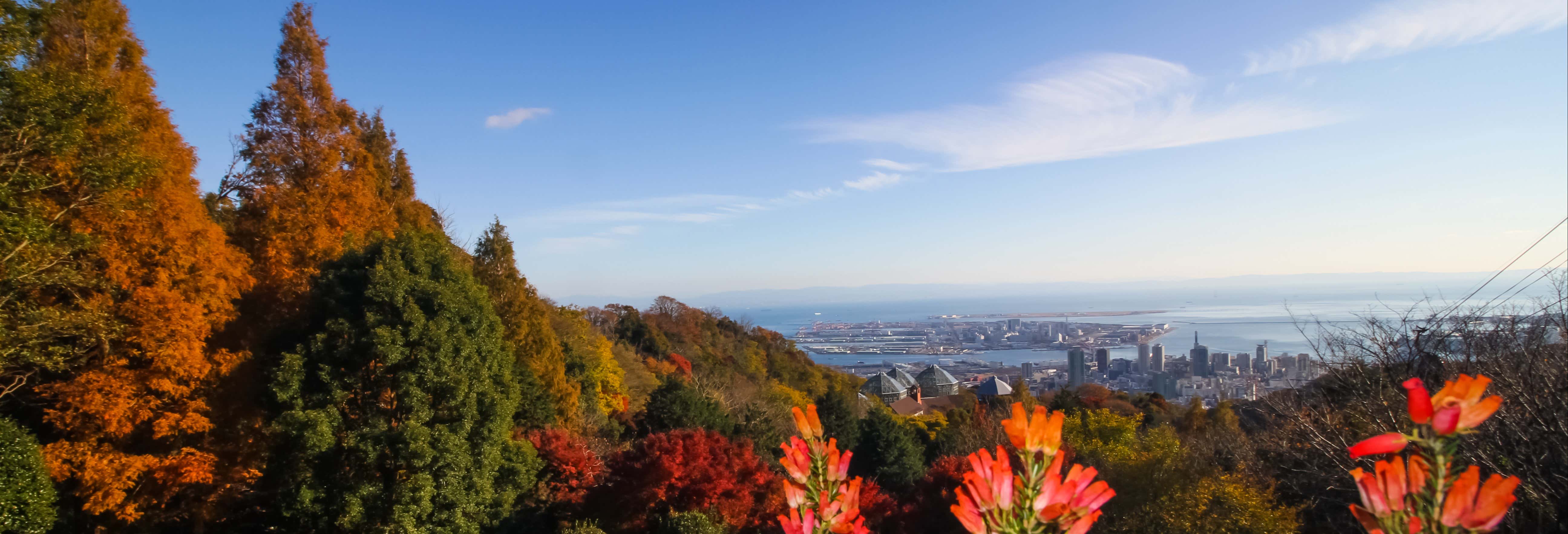 Tour por Kōbe y visita al Jardín de Hierbas Nunobiki