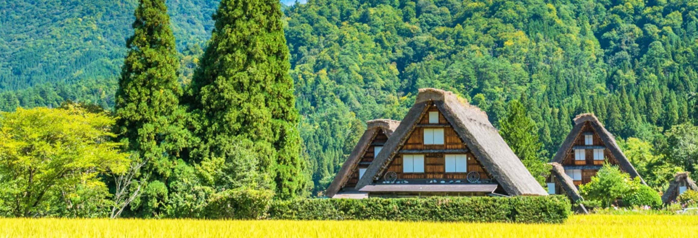 Excursão a Takayama e Shirakawago