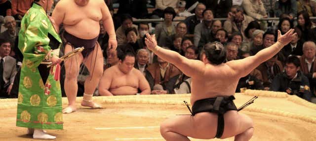 Tour por Nagoya + Entrada a un torneo de Sumo