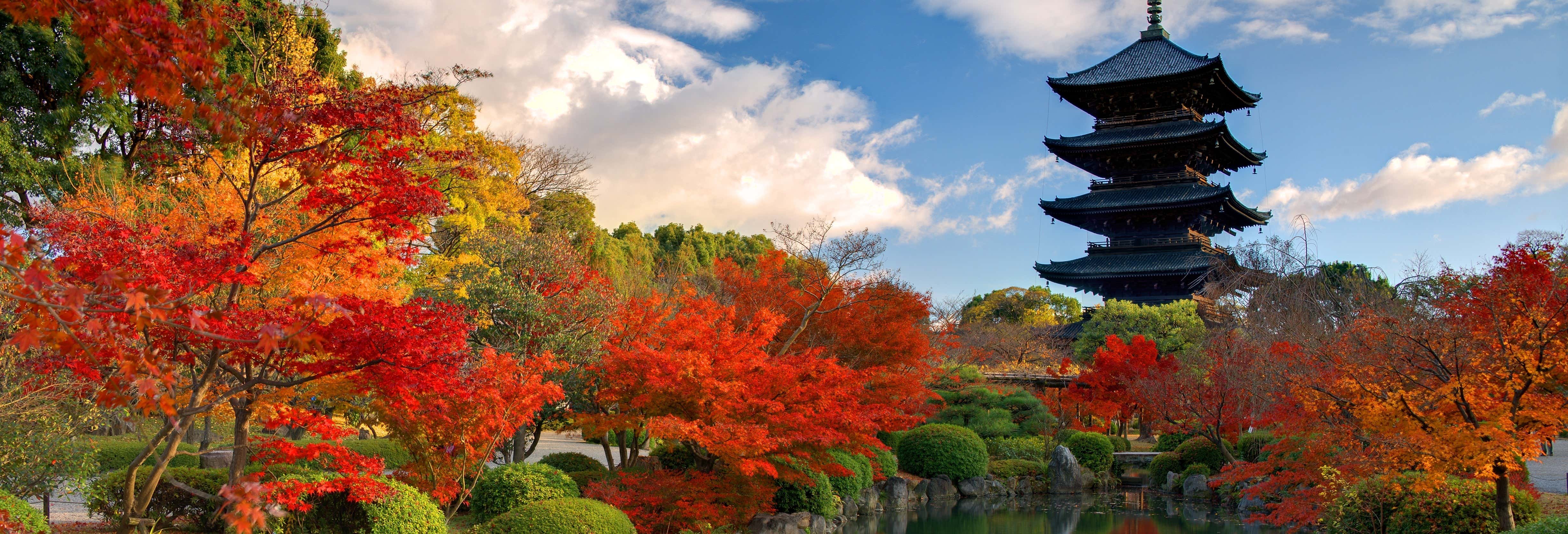 Nara Free Walking Tour