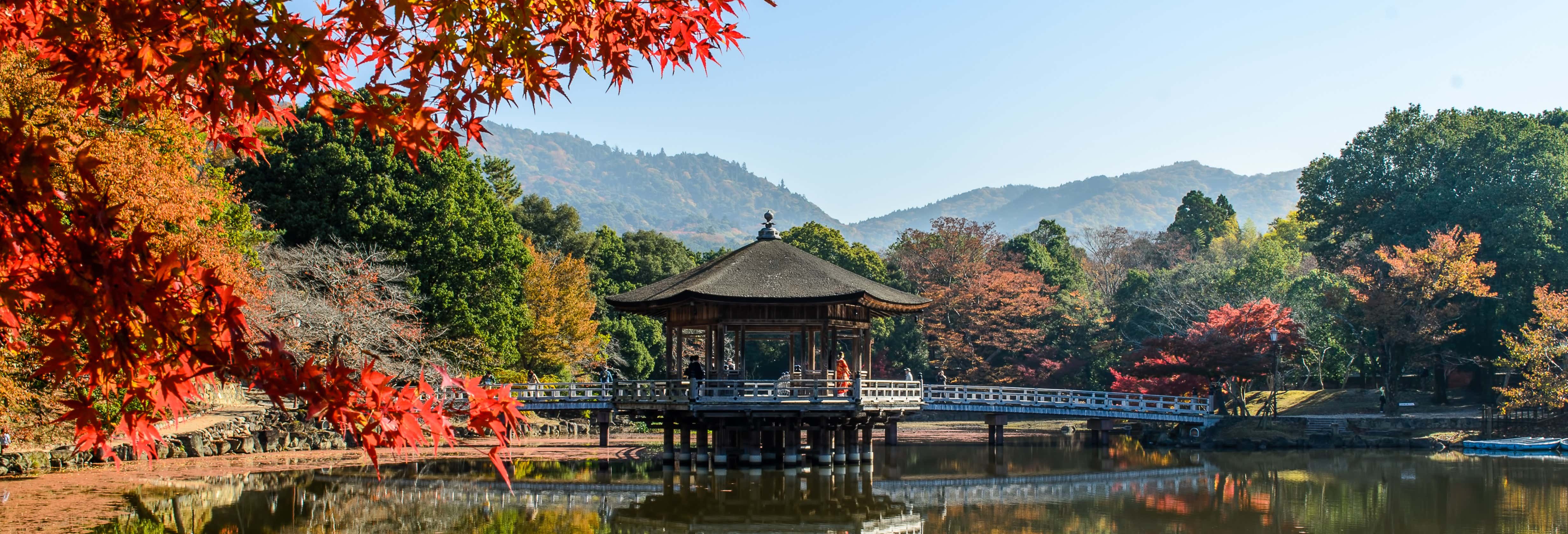 Tour privato di Nara