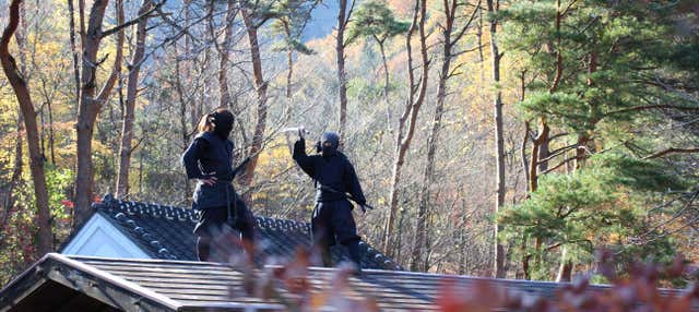 Biglietti per Edo Wonderland Nikko Edomura