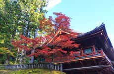 Nikkō World Heritage Area Pass