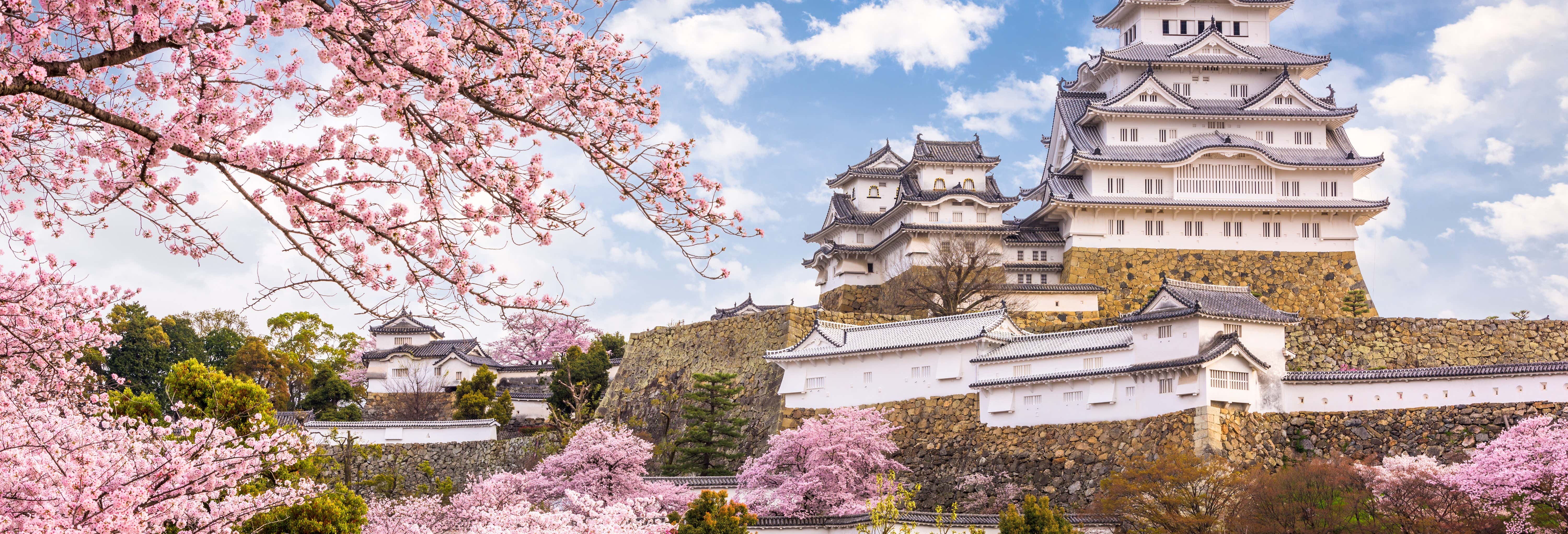 Excursión privada a Himeji y Kobe
