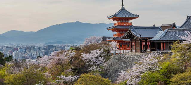 Escursione a Kyoto