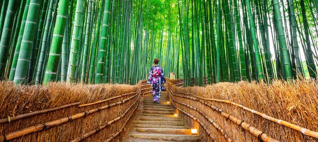 Escursione ad Arashiyama, Kinkakuji e Nara
