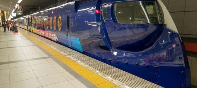 Nankai Rapit Airport Express
