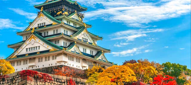 Visita guidata del castello di Osaka