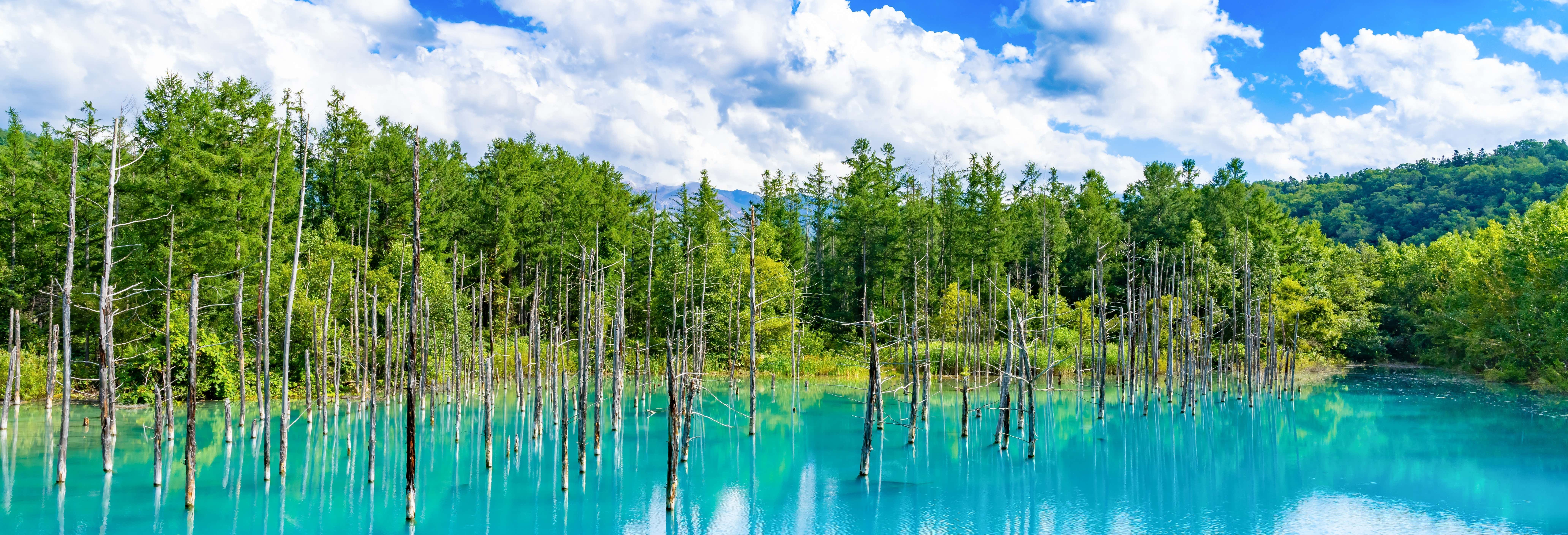 Campos de flores de Hokkaido e passeio pela lagoa azul