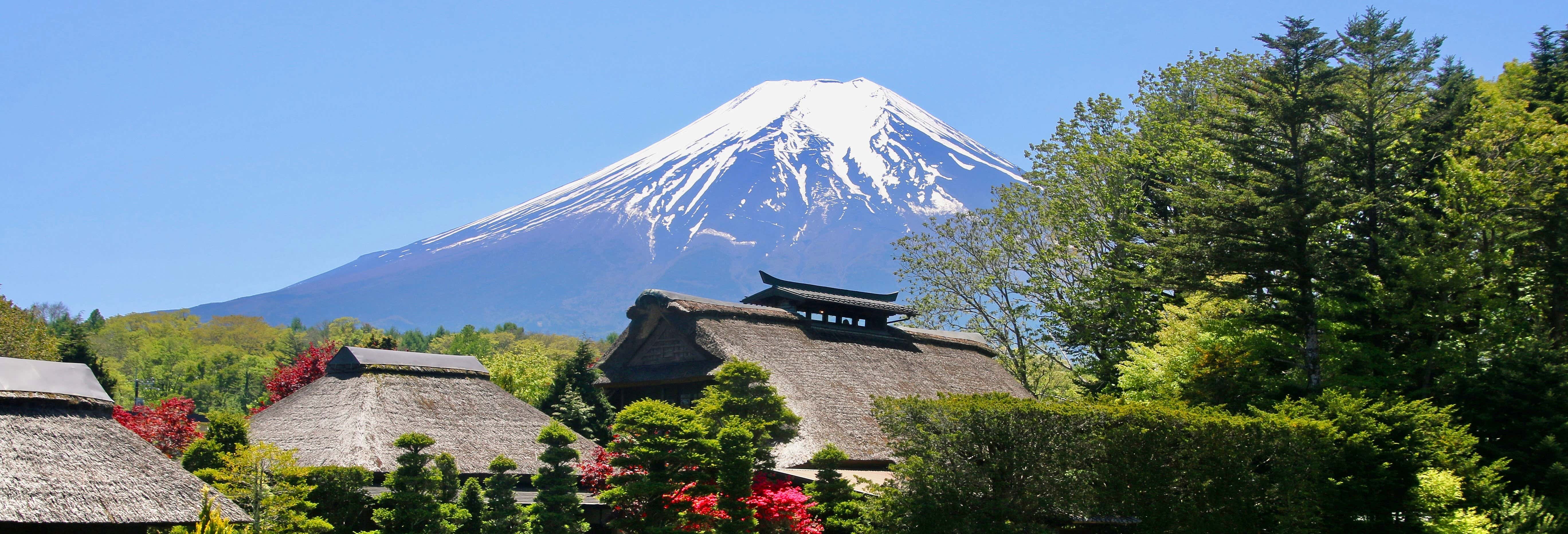 Day Trip to Mount Fuji, Lake Ashi, & Kamakura