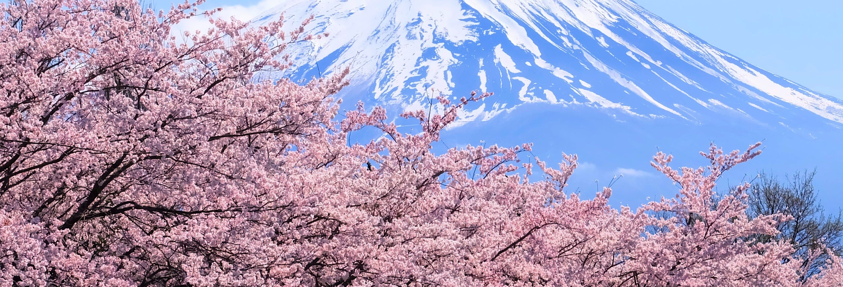 Excursão ao monte Fuji e ao lago Ashi