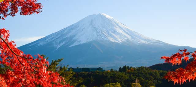 Escursione privata a Kawaguchiko + Monte Fuji