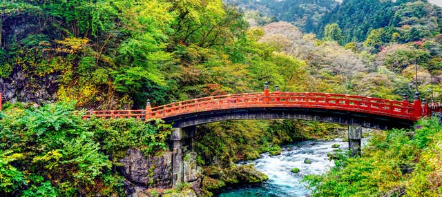 Escursione privata a Nikko