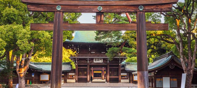 Free tour pelo Santuário Meiji e Parque Yoyogi