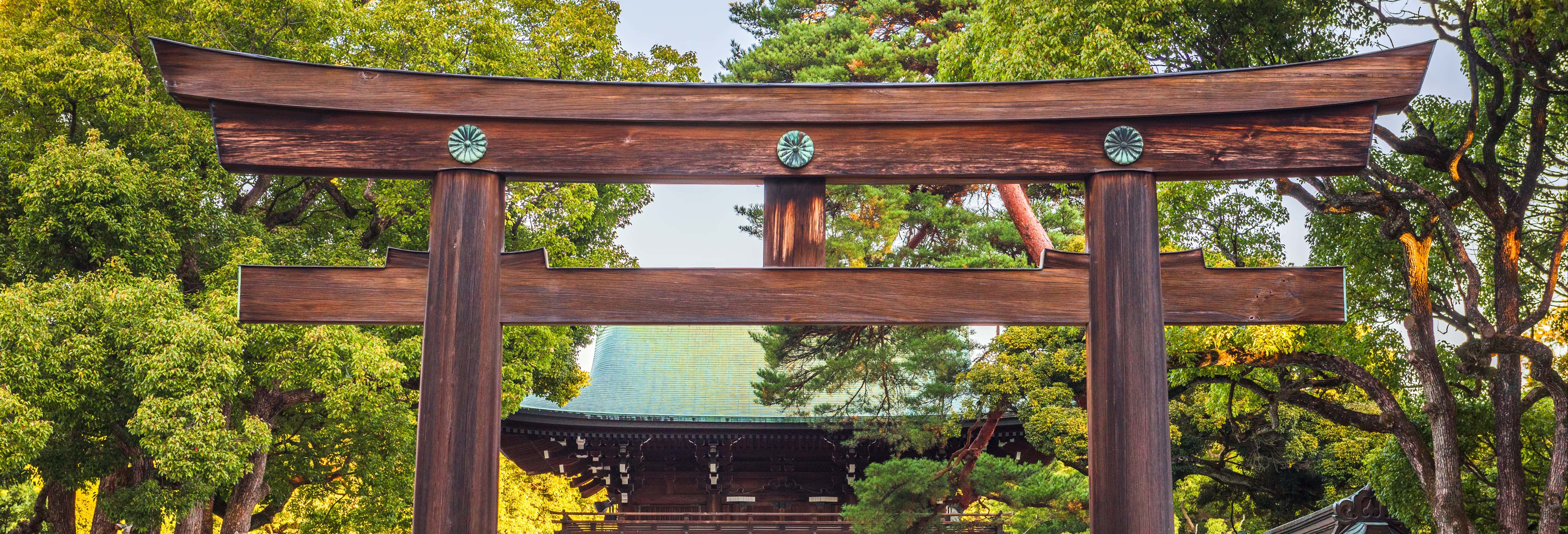 Free tour del Santuario Meiji e del Parco Yoyogi