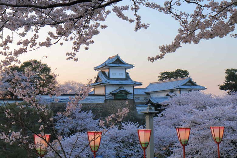 Imagen 5
