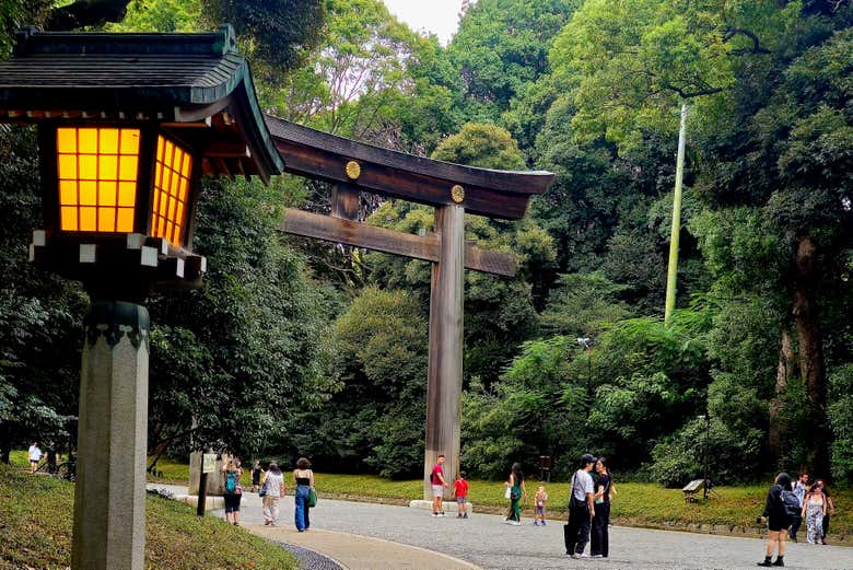 Meiji Shrine & Yoyogi Park Free Tour