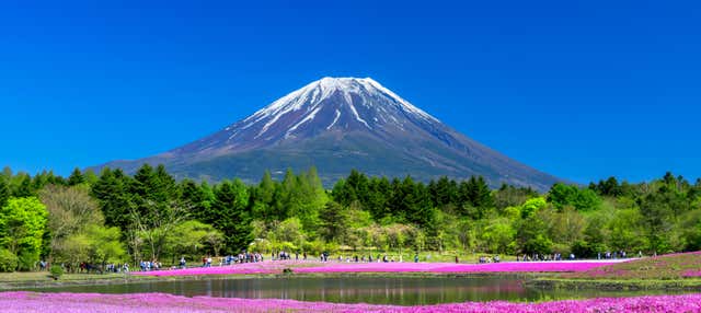 Escursione al Monte Fuji e raccolta di frutta