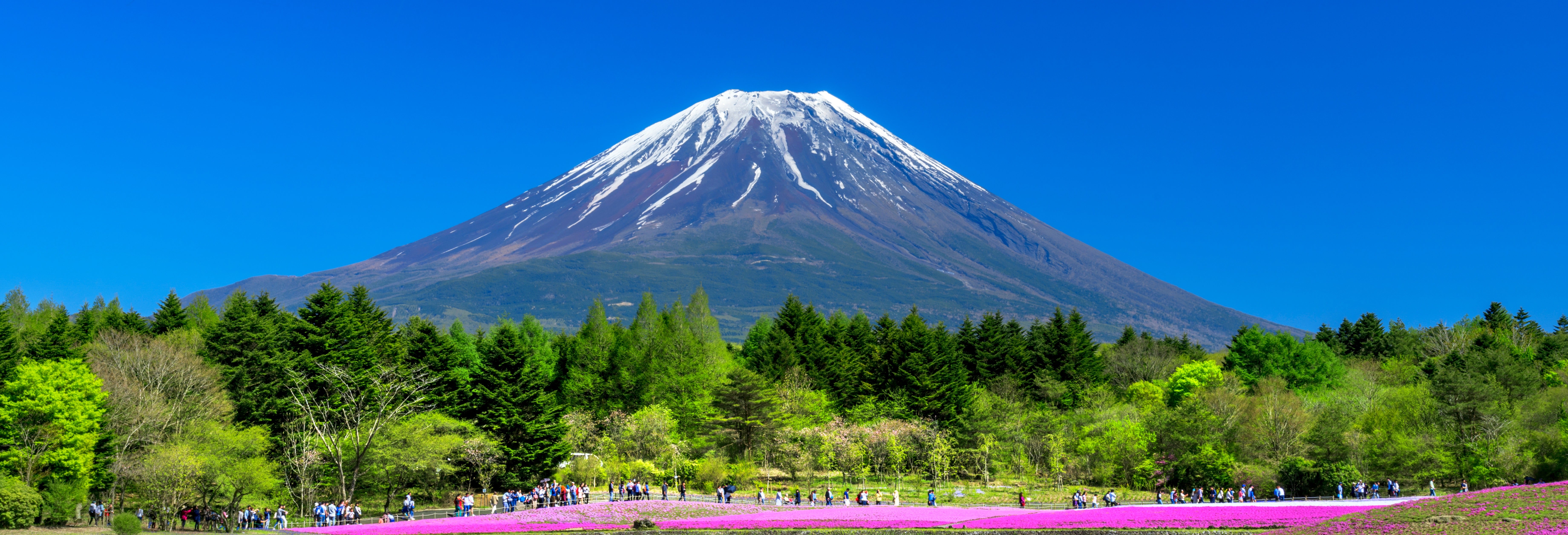 Excursão ao Monte Fuji + Colheita de fruta