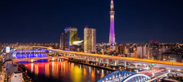 Tour privato serale a Tokyo