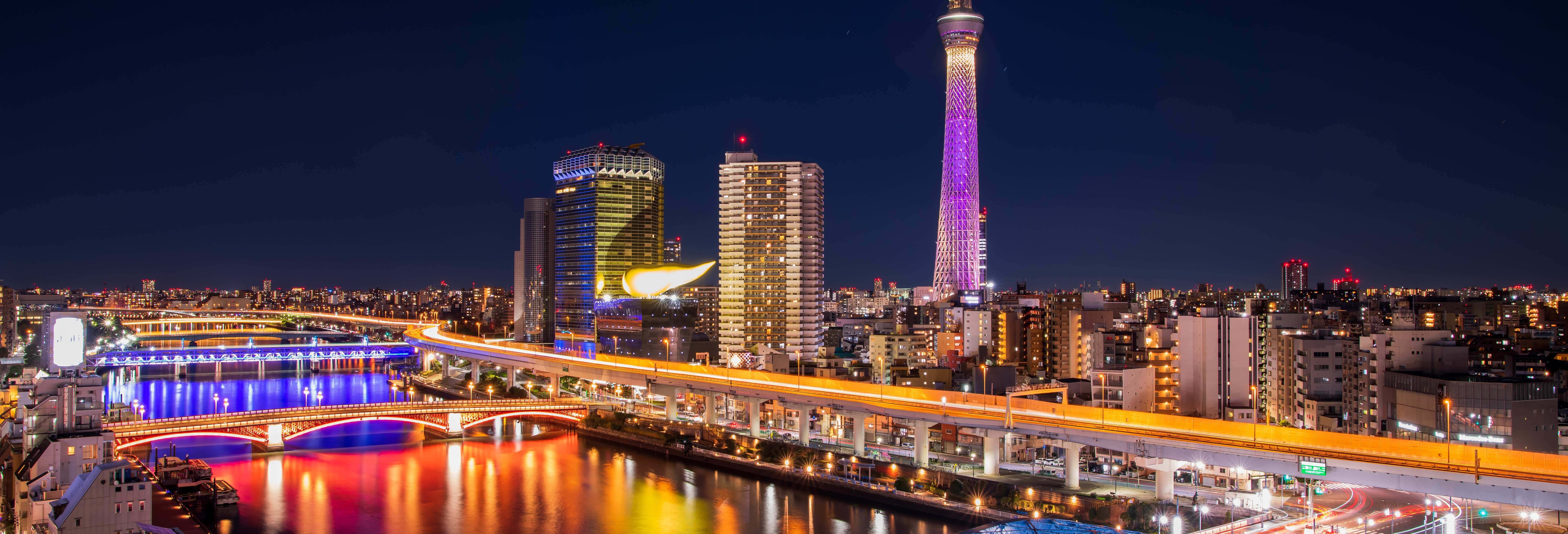 Tour privato serale a Tokyo