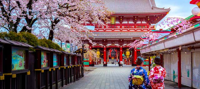 Tour privato di Tokyo