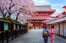 Tokyo Private Walking Tour