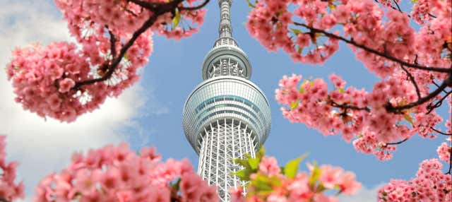 Tour completo di Tokyo