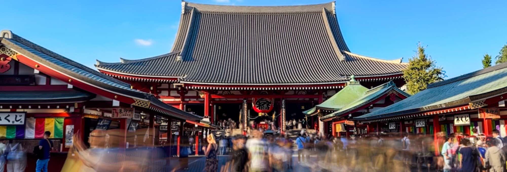 Tour del meglio di Tokyo + Biglietti per Tokyo Skytree