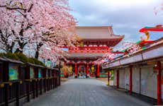 Asakusa Guided Tour