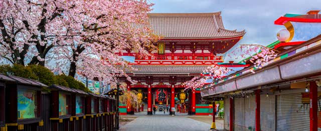 Visite guidée dans Asakusa