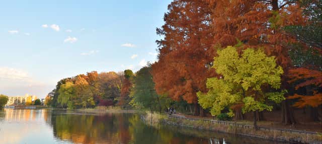 Visita guidata del Parco Shakujii