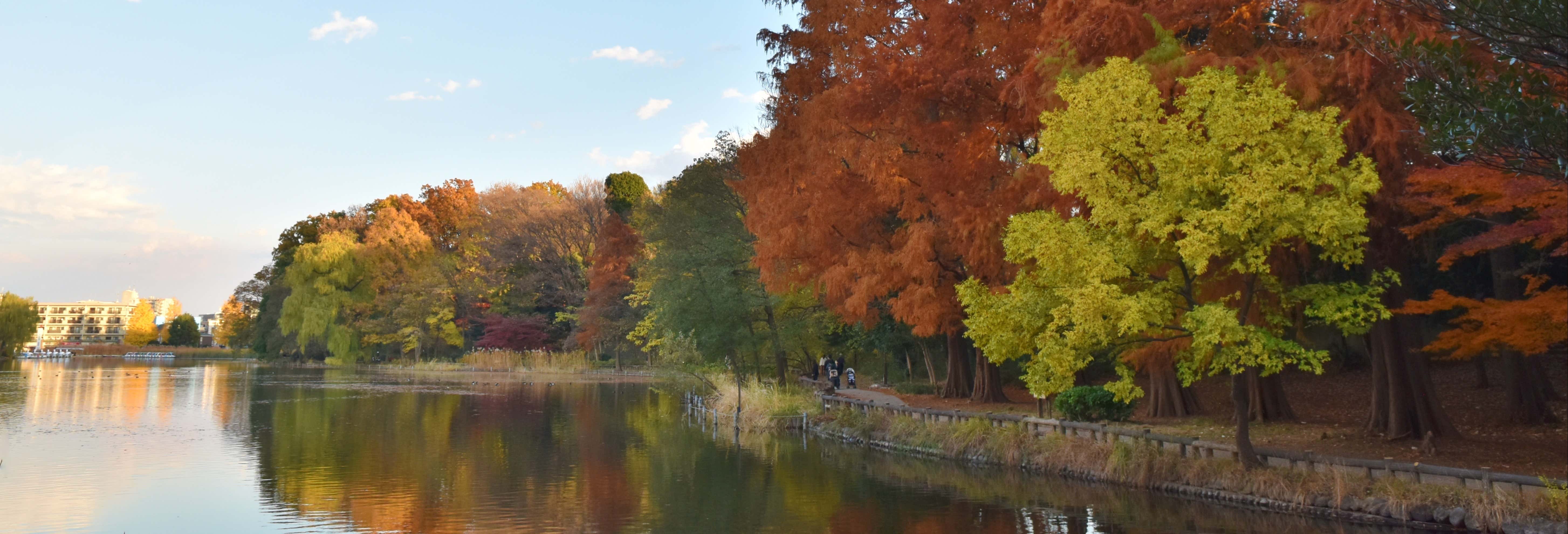Visita guidata del Parco Shakujii