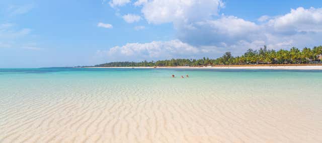 Giro in barca con fondo trasparente a Diani