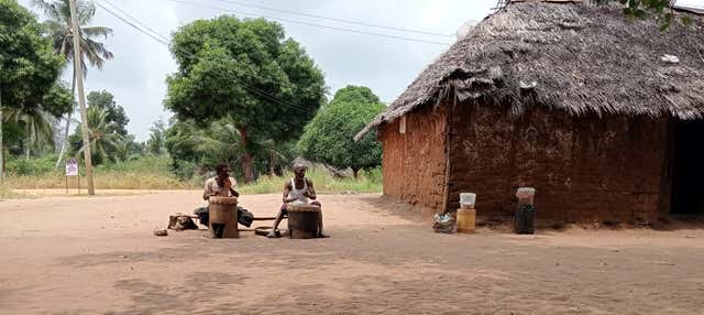 Tour della foresta sacra di Kaya Kinondo