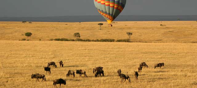 Giro in mongolfiera a Masai Mara
