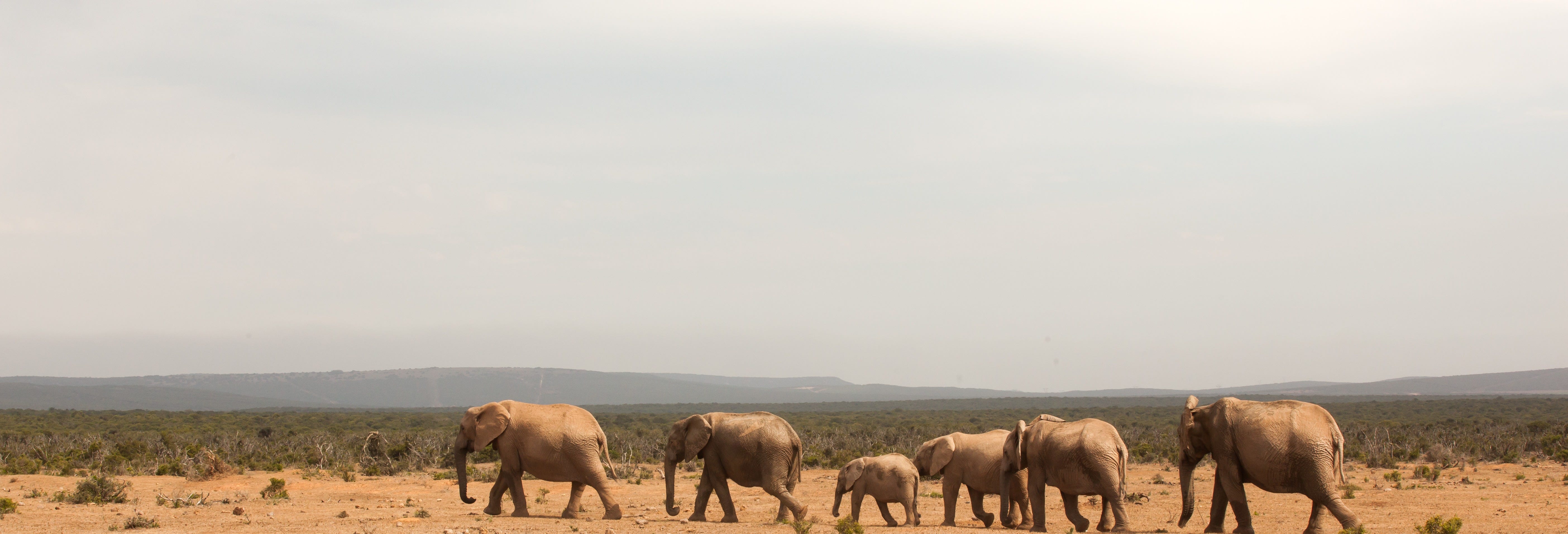 Tsavo East Private Safari