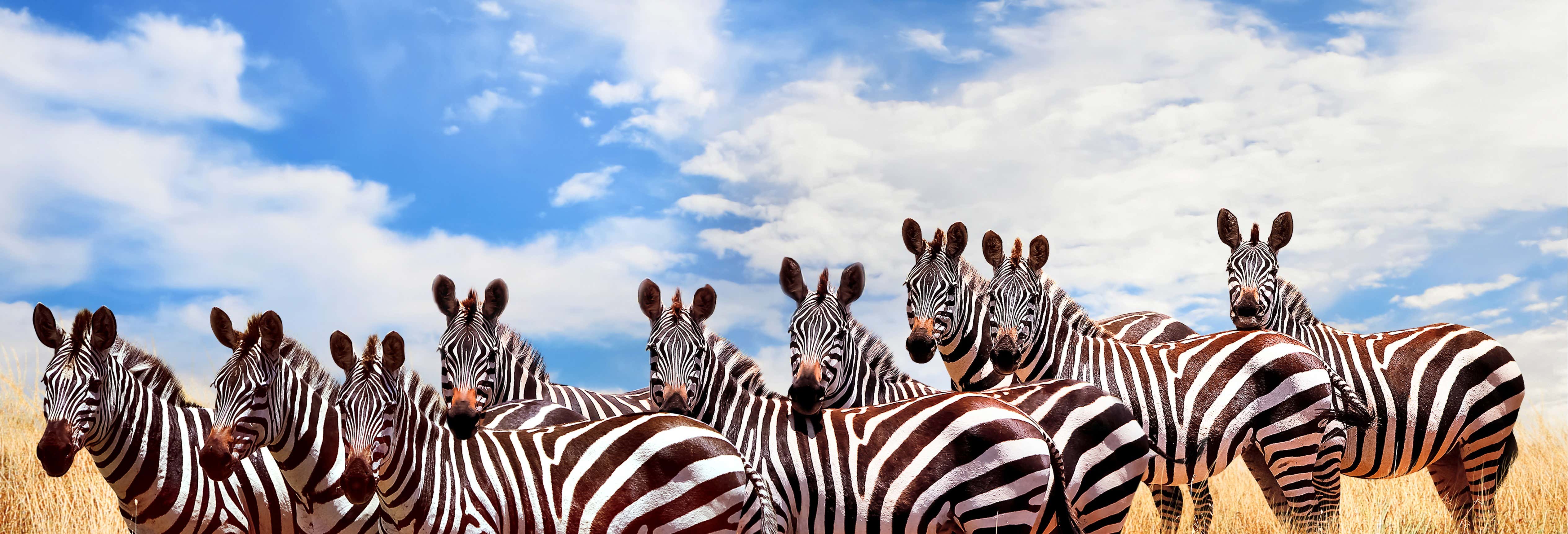 Safari di 6 giorni a Masai Mara, Amboseli e al lago Naivasha