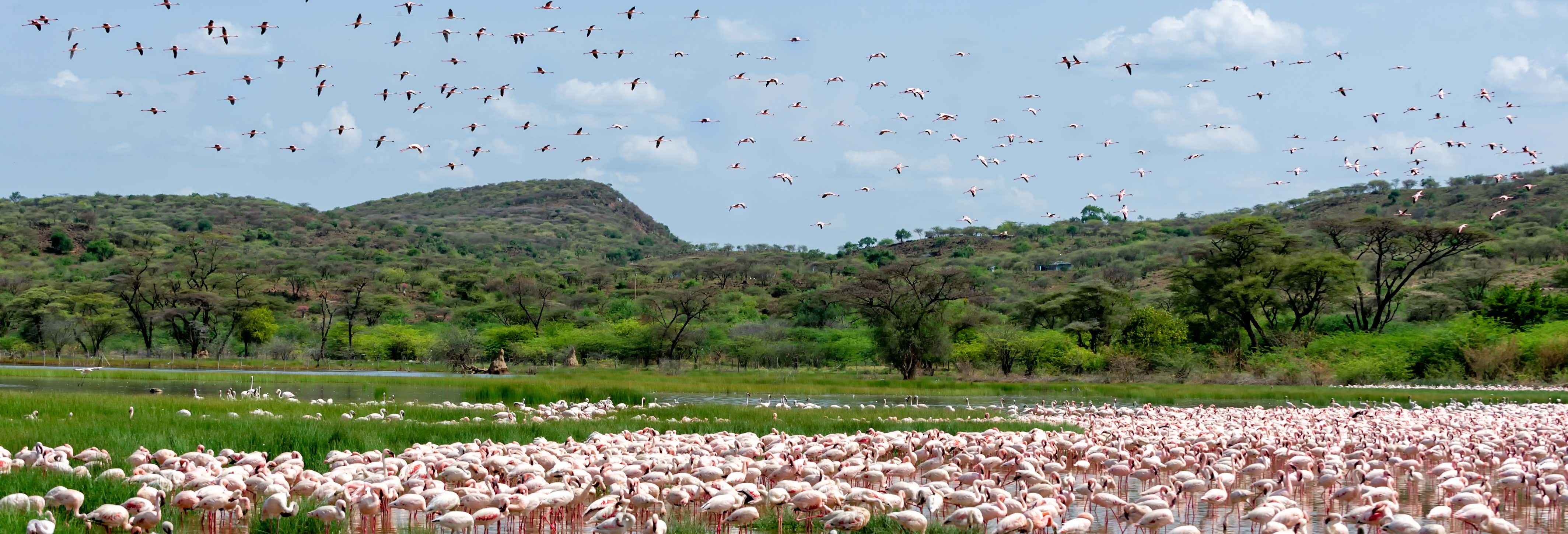 Escursione privata di 2 giorni al Lago Bogoria